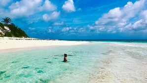 A beach with clear turquoise water, a person standing in the water, and a sandy shore with vegetation.