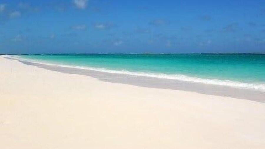 Hidden Gem 3 Bedroom Home