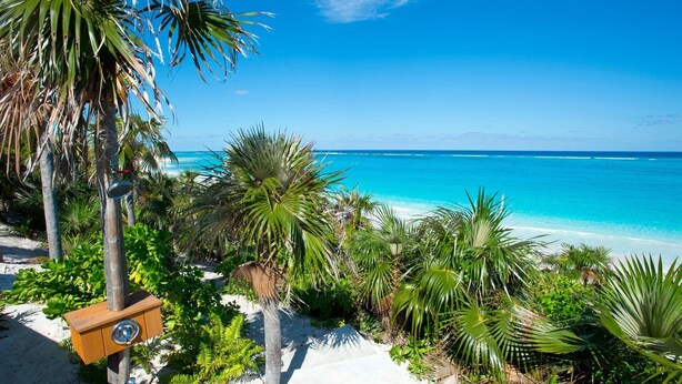 A beach with a wooden structure, palm trees, and a clear view of the ocean. - Sandy Hill Beach House 6 Bedroom Home (Governor's Harbour)