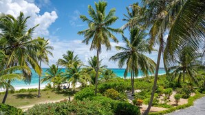 Une scène de plage tropicale avec des palmiers, un ciel bleu dégagé et une vue sur l’océan.