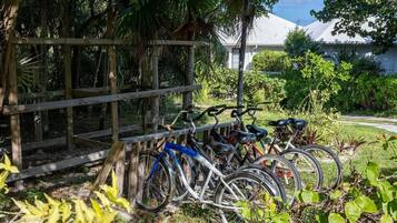 المنطقة المحيطة بالمنشأة