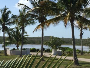 Surrounded by palm trees and a serene body of water, this tranquil space offers a peaceful retreat.
