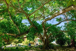 Cottage, 1 phòng ngủ | Khuôn viên nơi lưu trú