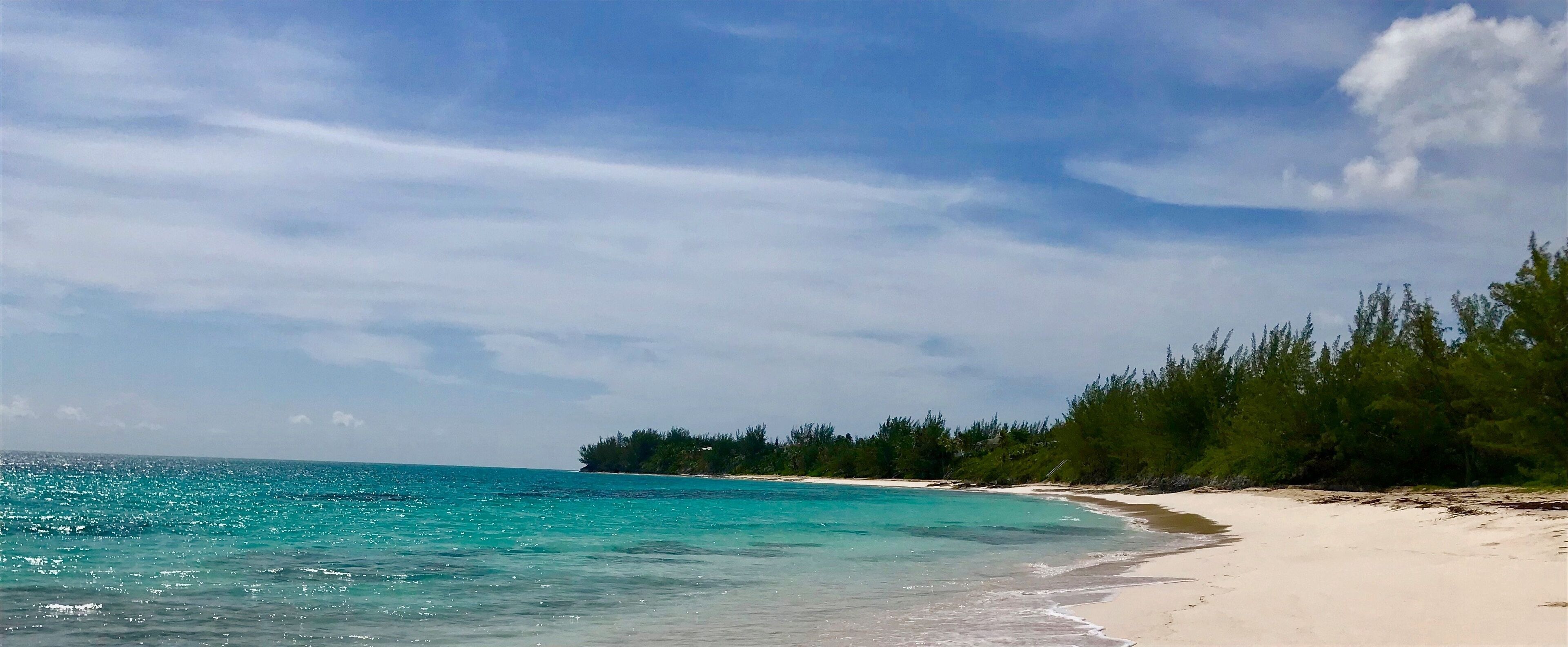 A beach with clear turquoise water, white sand, and dense green foliage along the shoreline.