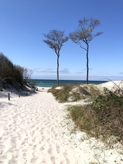 Apartment Seestern Prerow/parking lot, 2 bicycles, bed linen/towels incl.