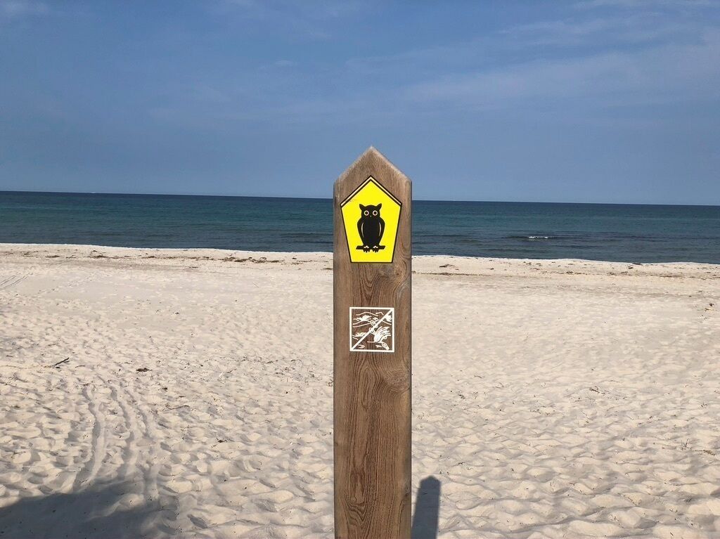 A wooden signpost with a yellow owl symbol and a white symbol on a beach.