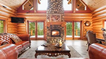 Smart TV, fireplace, books