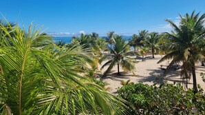 Een strand met palmbomen en een helderblauwe lucht.