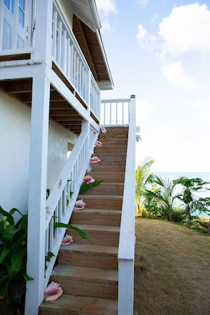 House, 5 Bedrooms | Property grounds