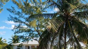 Villa, 2 Bedrooms | Property grounds