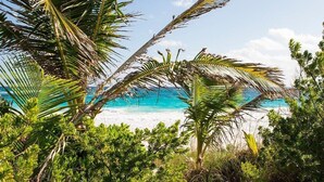A sandy beach path leading to a beach with clear turquoise water and palm trees.