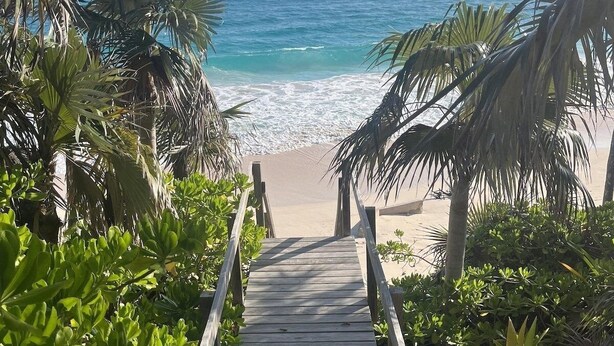 Un sendero de madera que lleva a una playa con palmeras y vistas al océano.