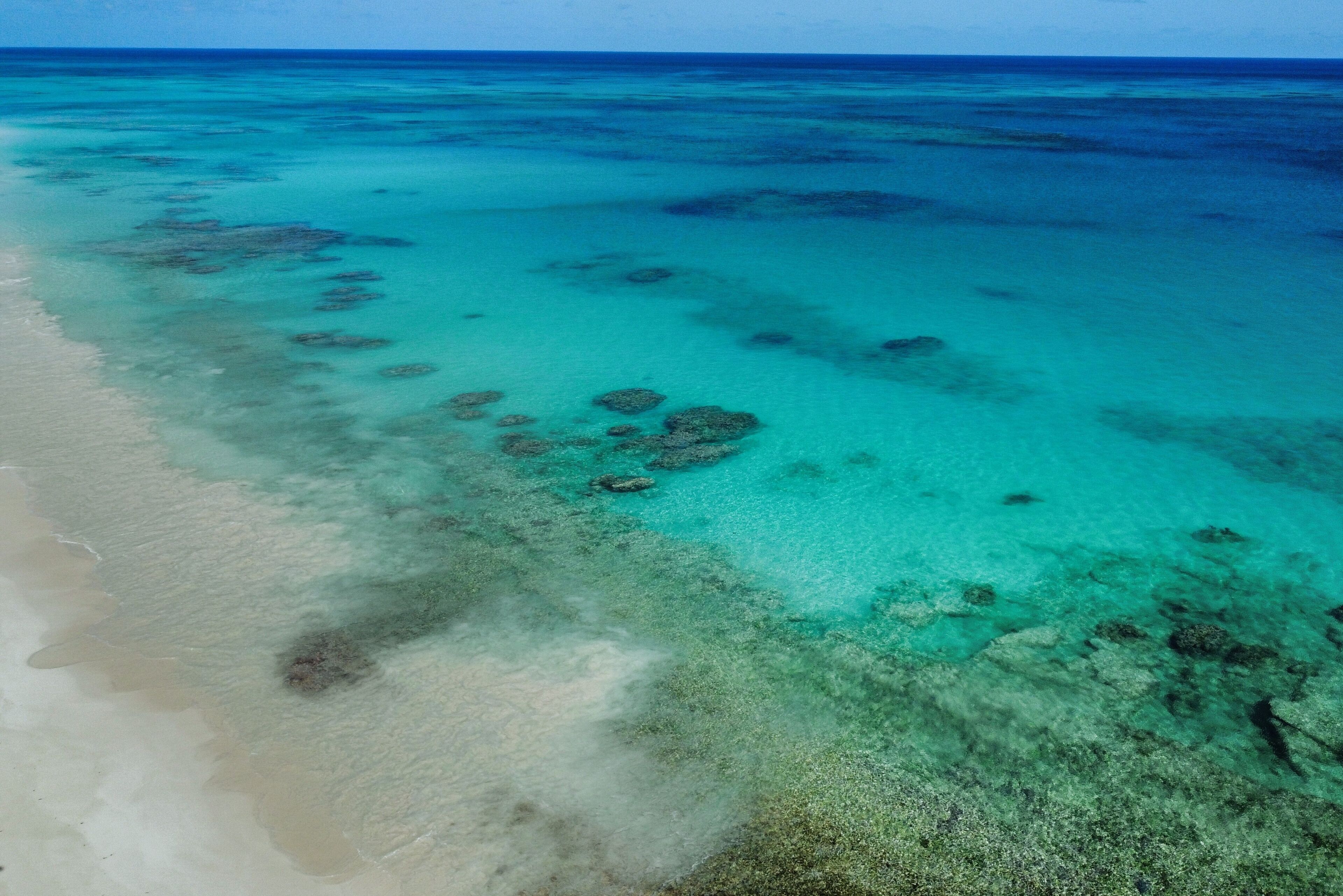 Una playa con aguas turquesas cristalinas y formaciones de coral visibles.