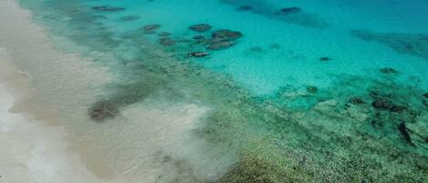 Una playa con aguas turquesas cristalinas y formaciones de coral visibles.
