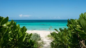 Ein Strand mit klarem türkisblauem Wasser und sandigem Ufer, umgeben von üppiger, grüner Vegetation.