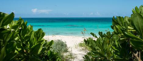 Casa, 2 quartos | Praia | Na praia