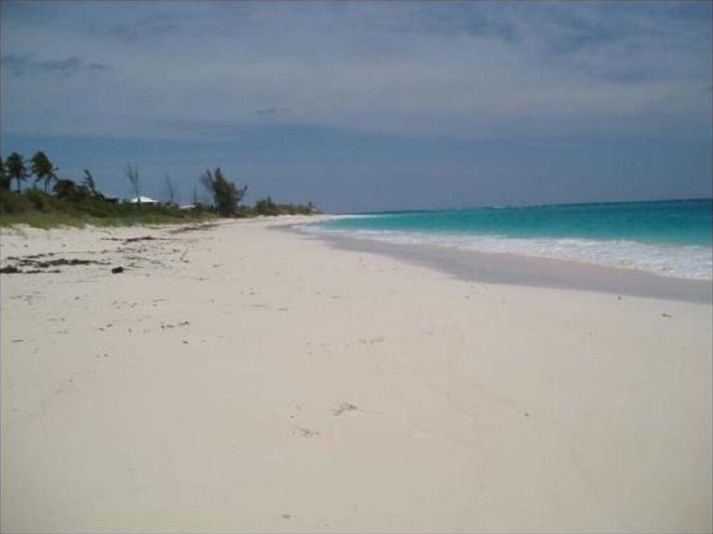 Ein Strand mit blauem Himmel und ruhiger See.