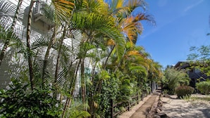 A pathway lined with palm trees and a building with a balcony.
