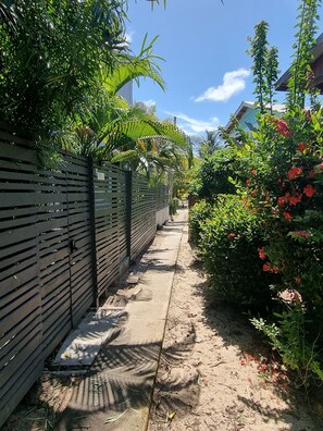 A narrow concrete pathway flanked by dense foliage and a dark wooden fence.