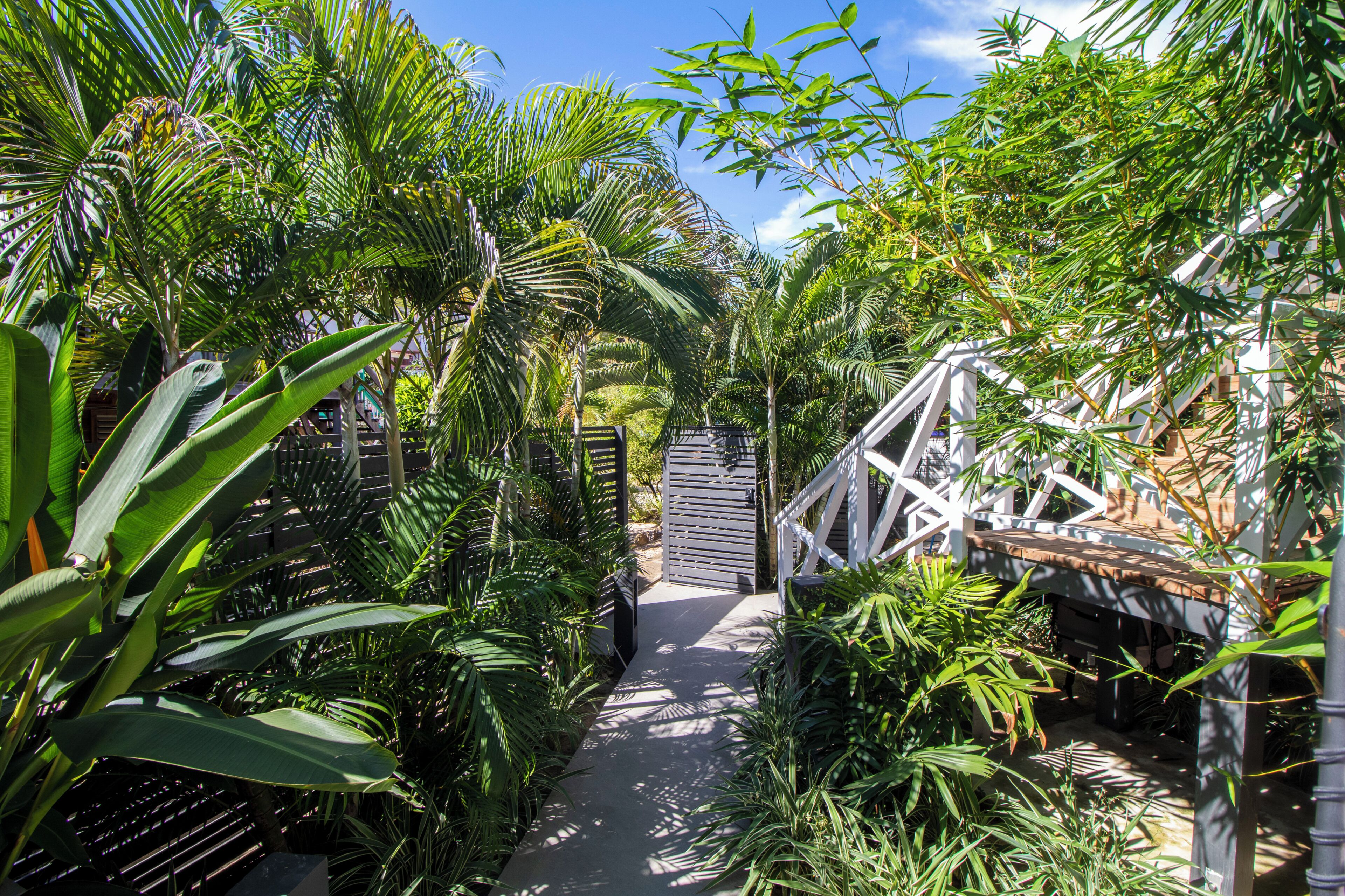 Un sendero atraviesa un exuberante jardín con diversas plantas tropicales y un puente de madera.