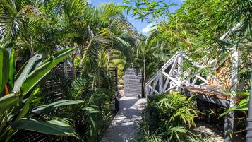 Un sendero atraviesa un exuberante jardín con diversas plantas tropicales y un puente de madera.