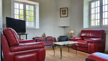 TV, fireplace, books