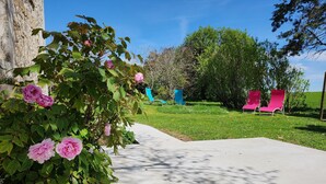 Um jardim com caminho de concreto, flores cor-de-rosa e duas espreguiçadeiras vermelhas.
