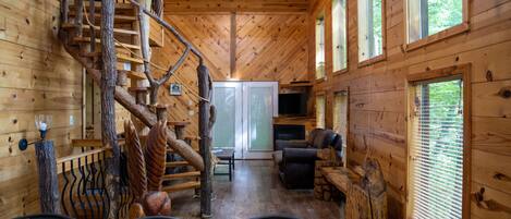 TV connectée, cheminée, lecteur de DVD, livres