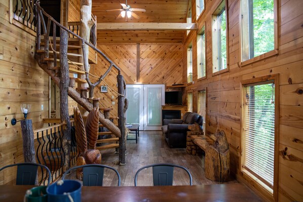 Smart TV, fireplace, DVD player, books