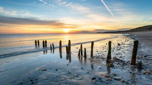 Ein Strand mit Holzpfählen und Kieselsteinen.