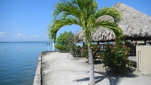 A beachside scene with a palm tree, a thatched-roof structure, and a view of the sea. - Casa de Amigos, Island Townhome (Placencia)