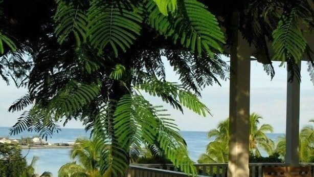 Un espace extérieur aménagé, abrité et doté de fauteuils et de coussins confortables, offrant une vue sur une plage et l’océan.