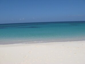 Condo, Multiple Bedrooms | Beach