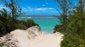 A beach with clear turquoise water, sandy dunes, and dense green foliage.