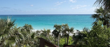 Vila, 3 kamar tidur | Halaman properti