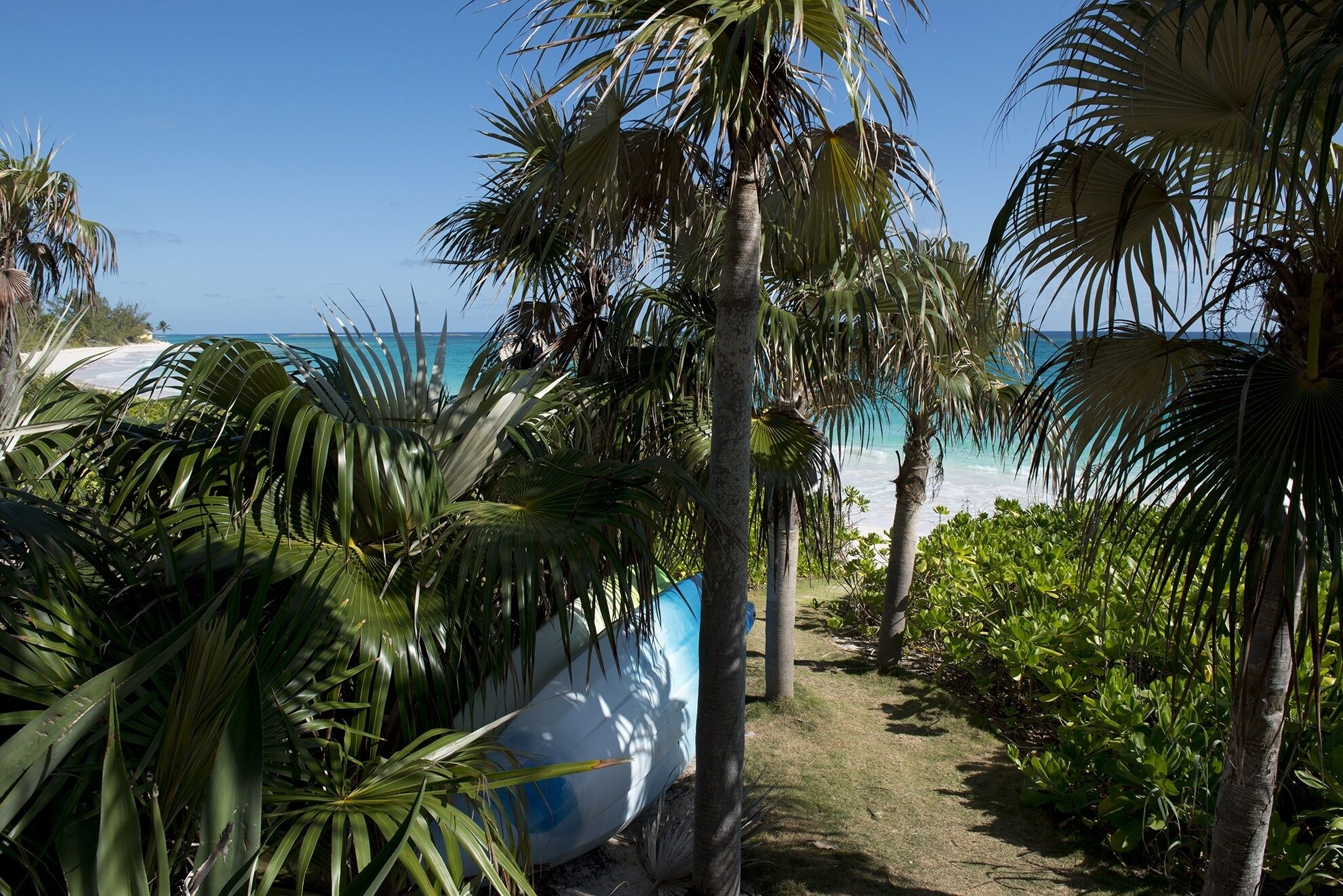Un sentier qui mène à une plage bordée de palmiers et d’où l’on a une vue dégagée sur l’océan.