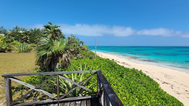 A beach with a wooden walkway leading to the shore, surrounded by lush greenery and palm trees. - Aqua Vista 2 Bedroom Home (North Palmetto Point)