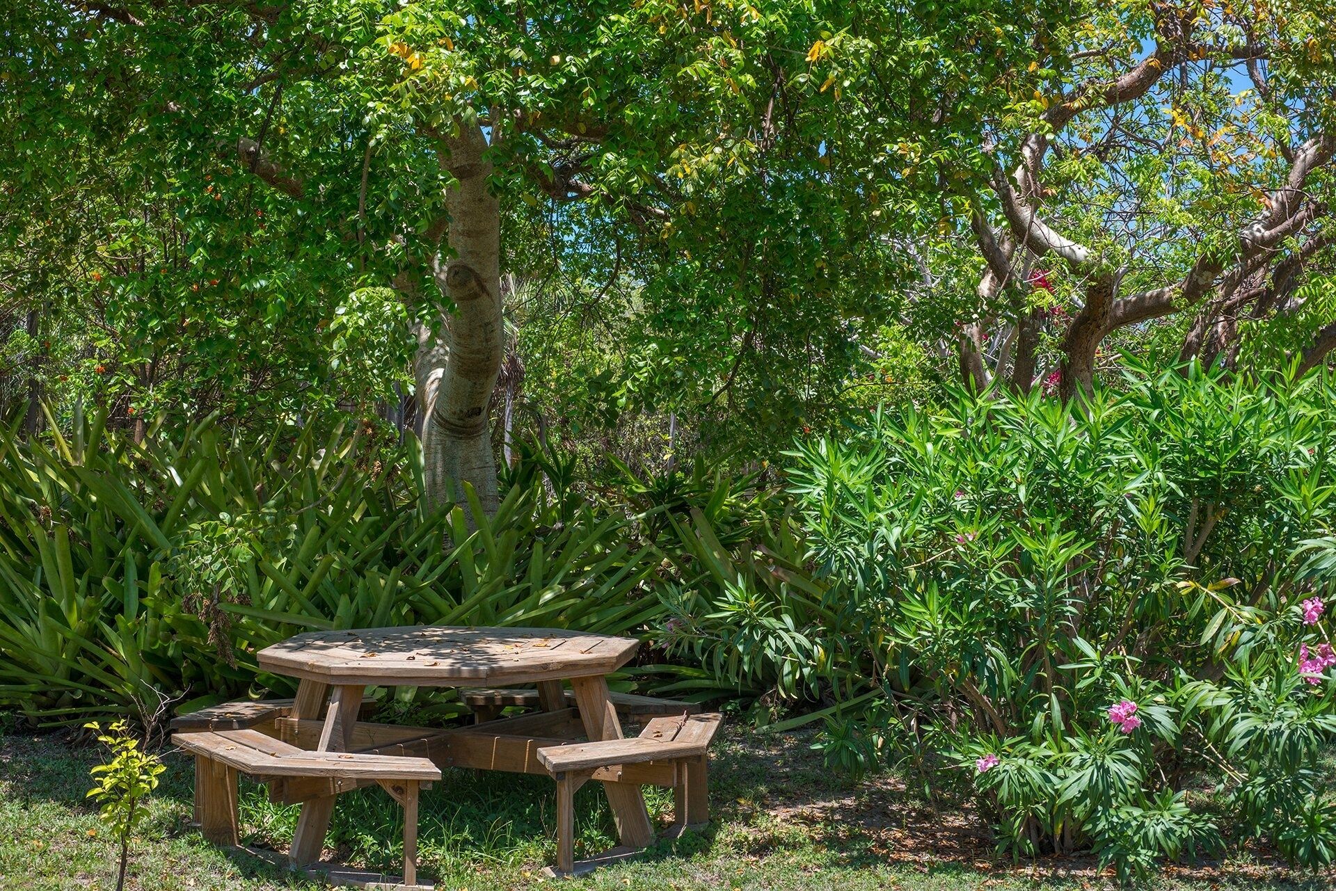 A wooden picnic table with benches in a garden with various plants and trees.