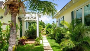 Un jardin luxuriant agrémenté d’un palmier, d’une pergola blanche et d’un sentier menant à un bâtiment doté de grandes fenêtres.