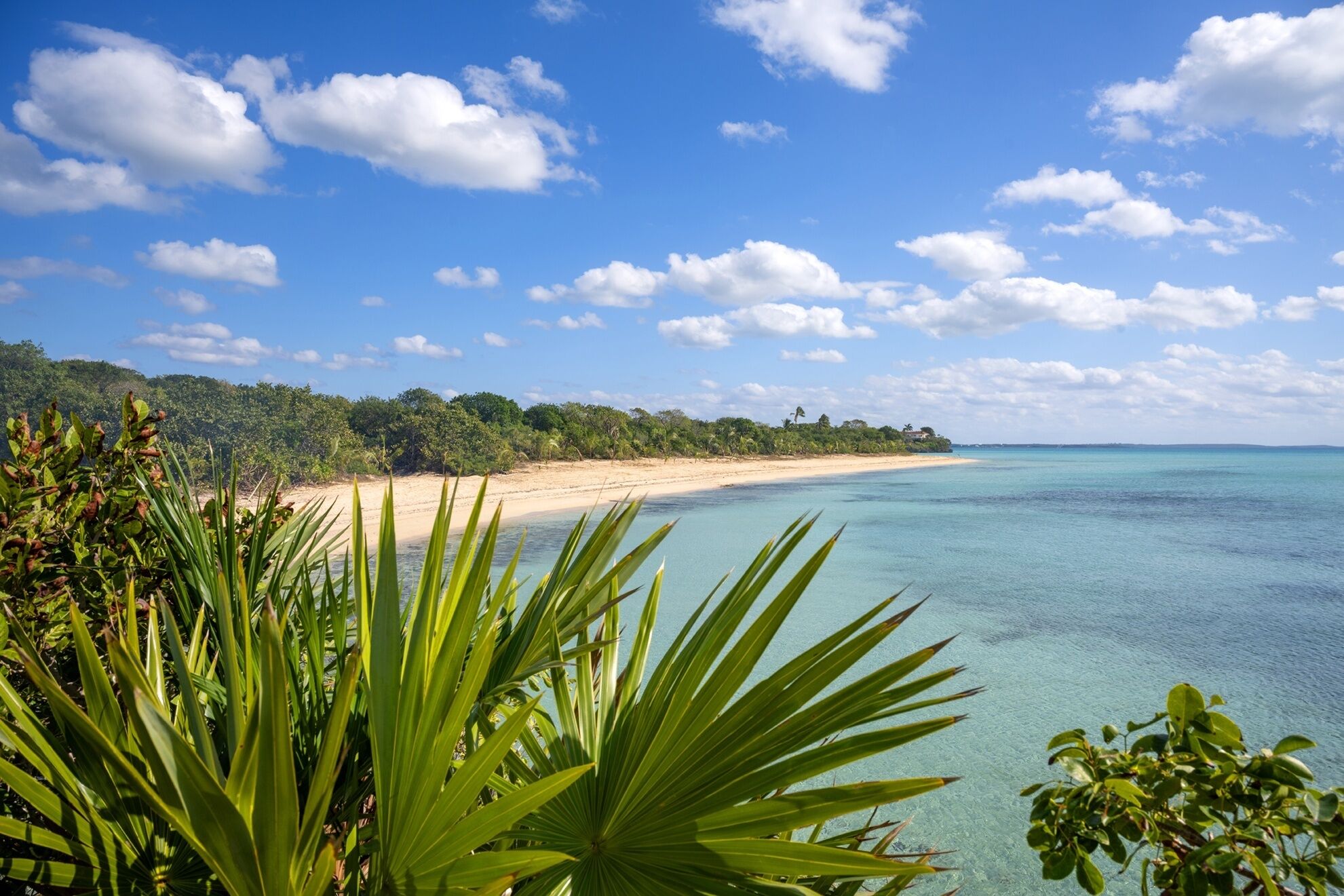 Casa, 5 habitaciones | Playa | Ubicación a pie de playa