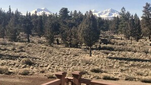 Paisatge sec i herbaci amb arbres dispersos i una serralada llunyana.