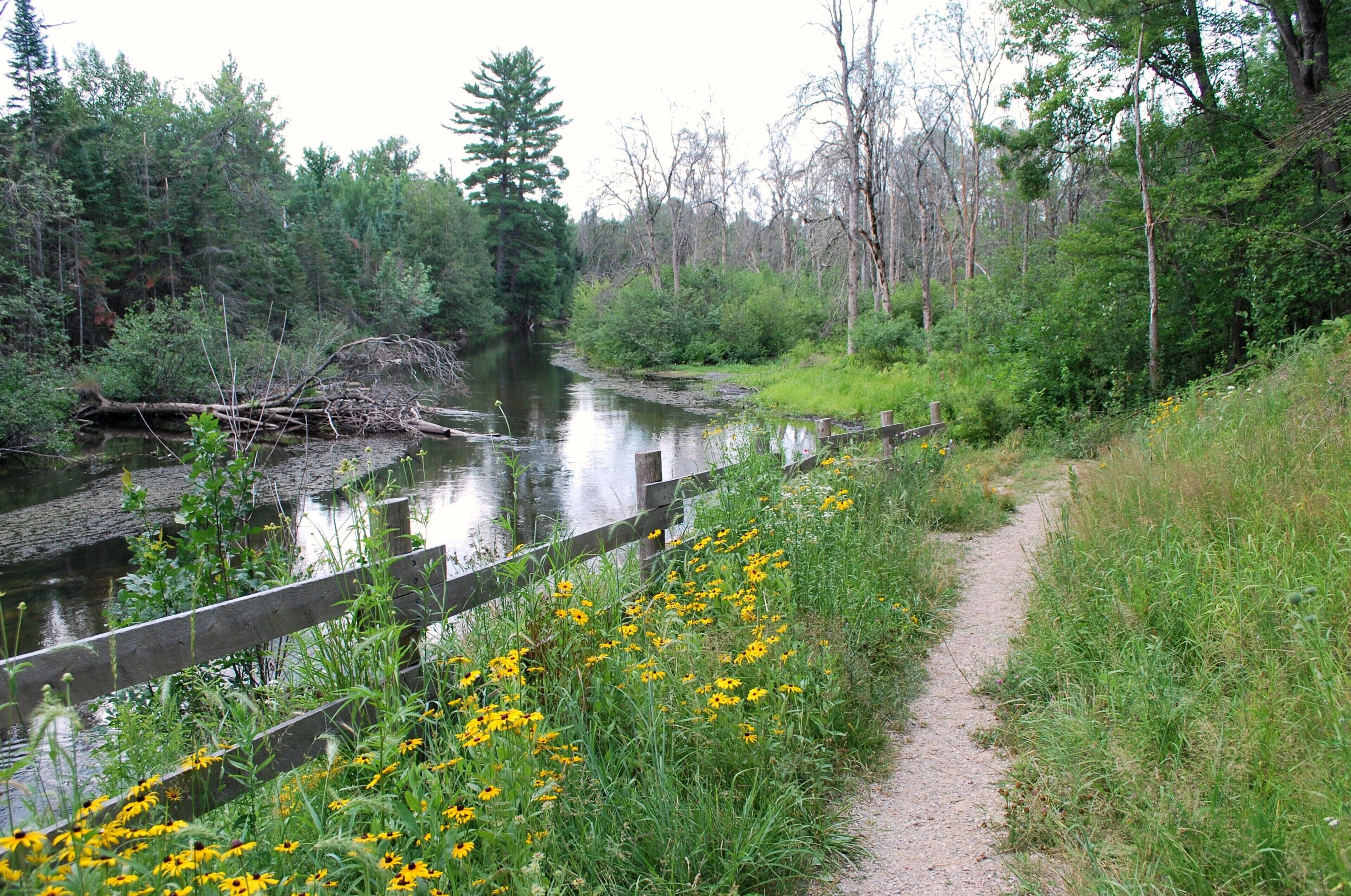 A natural landscape with a river, a wooden fence, and a dirt path.