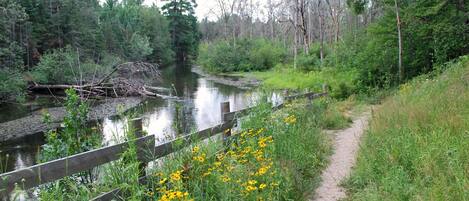 A natural landscape with a river, a wooden fence, and a dirt path.