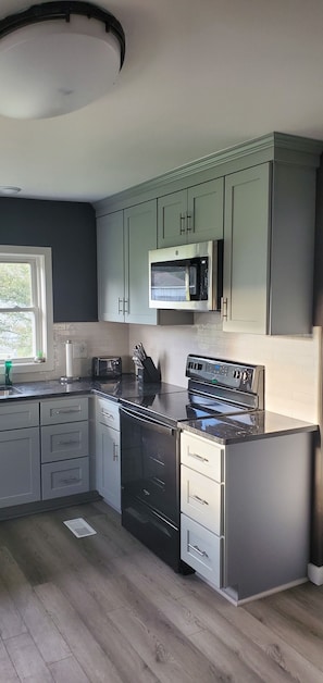 A modern kitchen with grey cabinets, a stainless steel microwave, a built-in oven, and a granite countertop. - Kanto House - Large Deck and Fenced in Yard - In Town - Pets OK (Brevard)