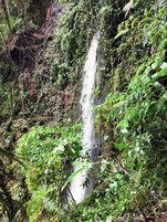 Uma cascata rodeada por vegetação densa.