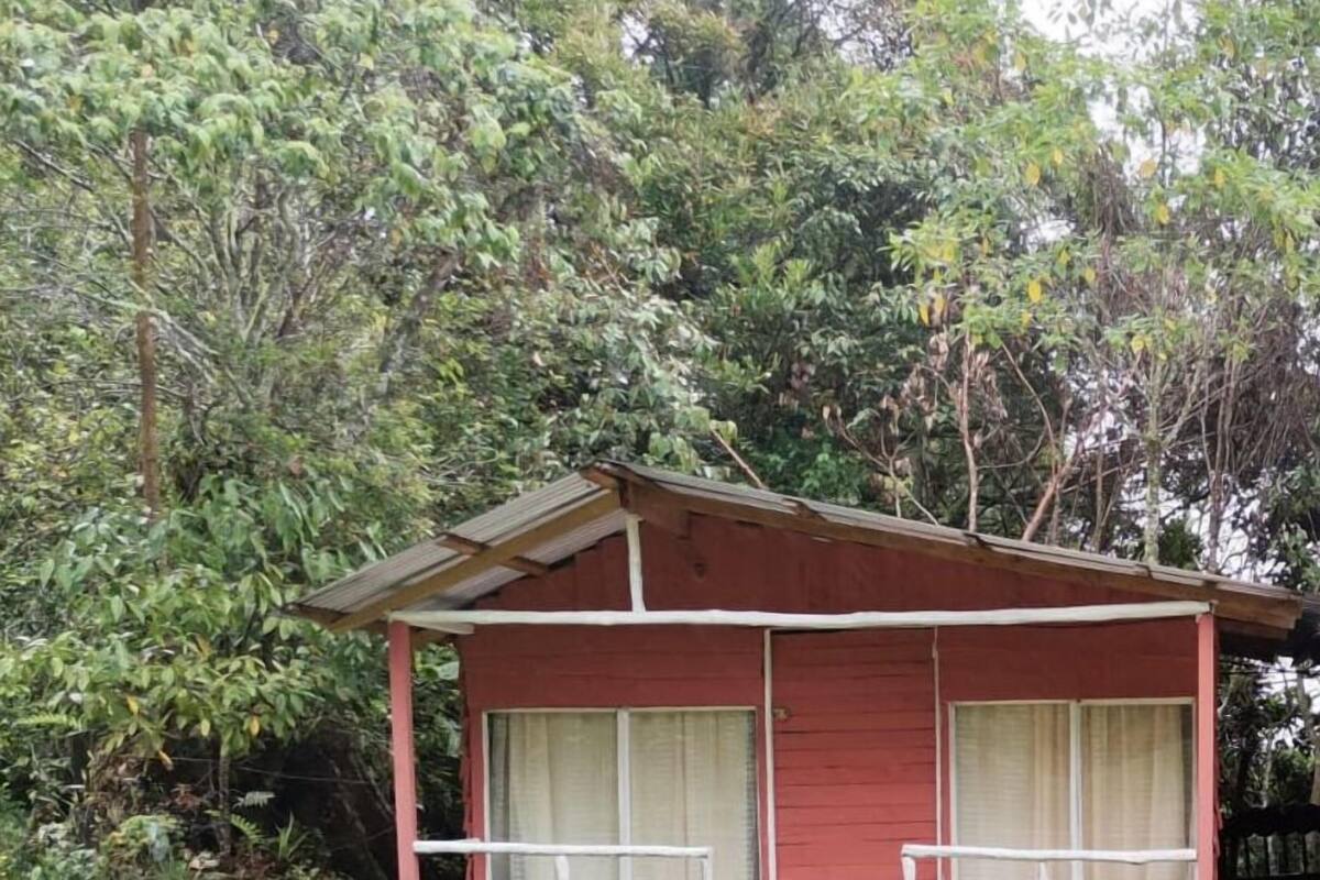 標準小屋, 2 張加大雙人床, 山景 | 免費 Wi-Fi、床單