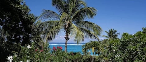 House, 3 Bedrooms | Property grounds