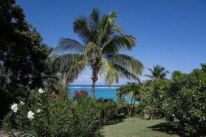 ハウス 3 ベッドルーム | 施設の敷地