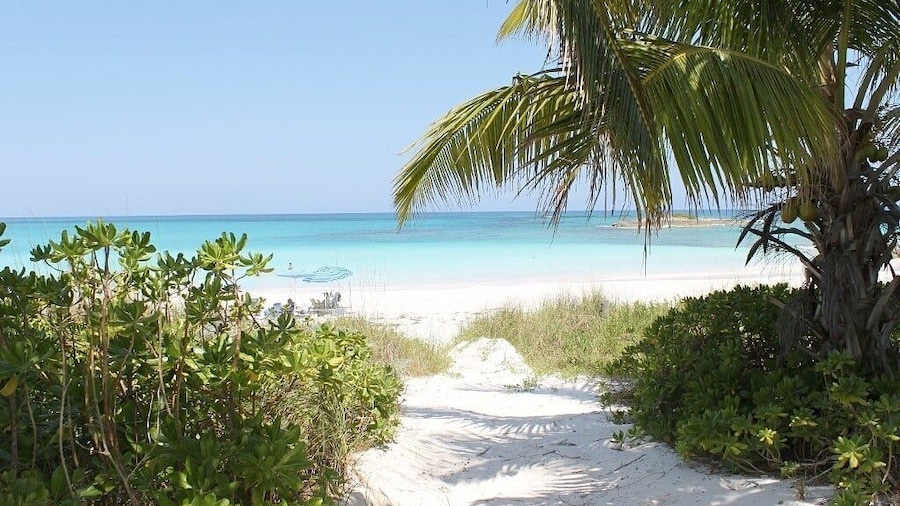 Salty Dolphin 4 Bedroom Home