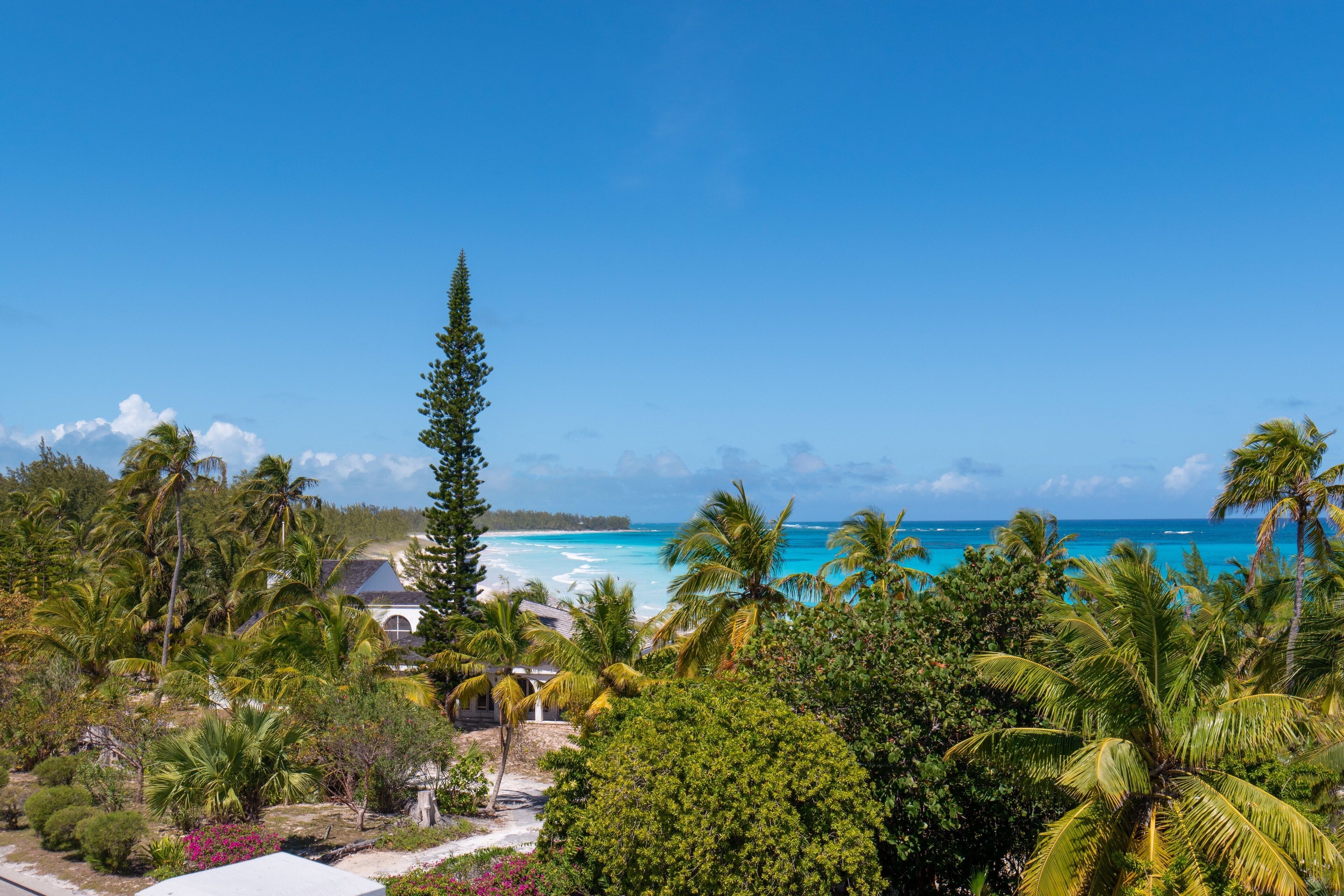 Un resort tropical con vista al océano, palmeras y cielo despejado.